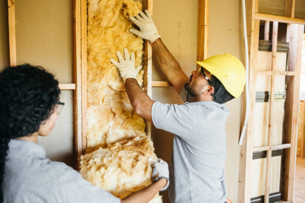 Best Insulation for New Construction  in Scottsdale, AZ